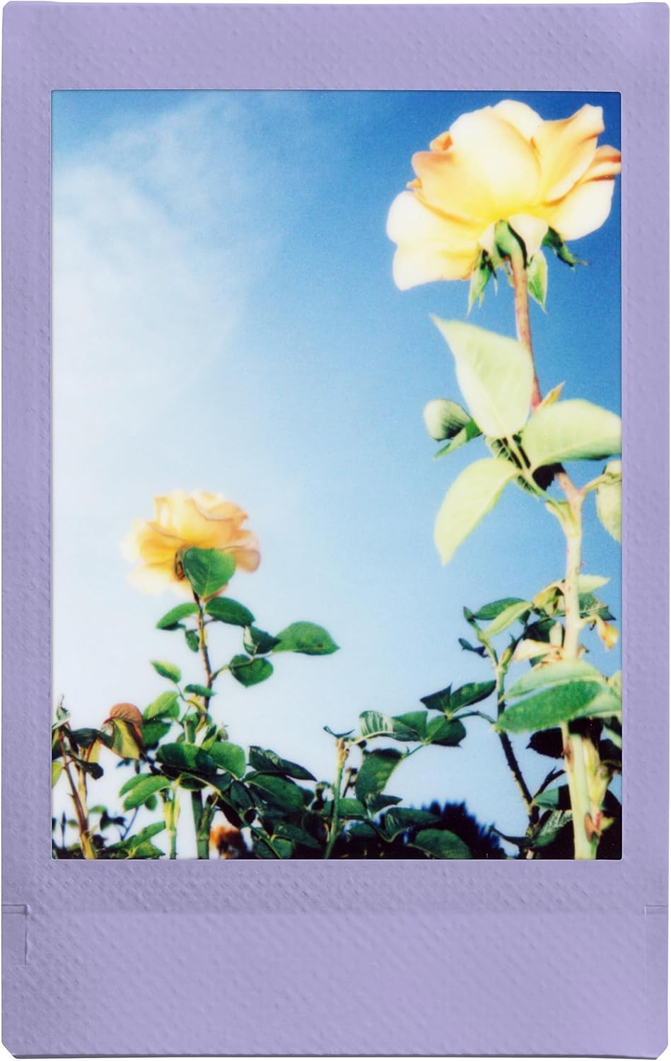 FUJIFILM Instax Mini Film confezione da 10 foto, Soft Lavender