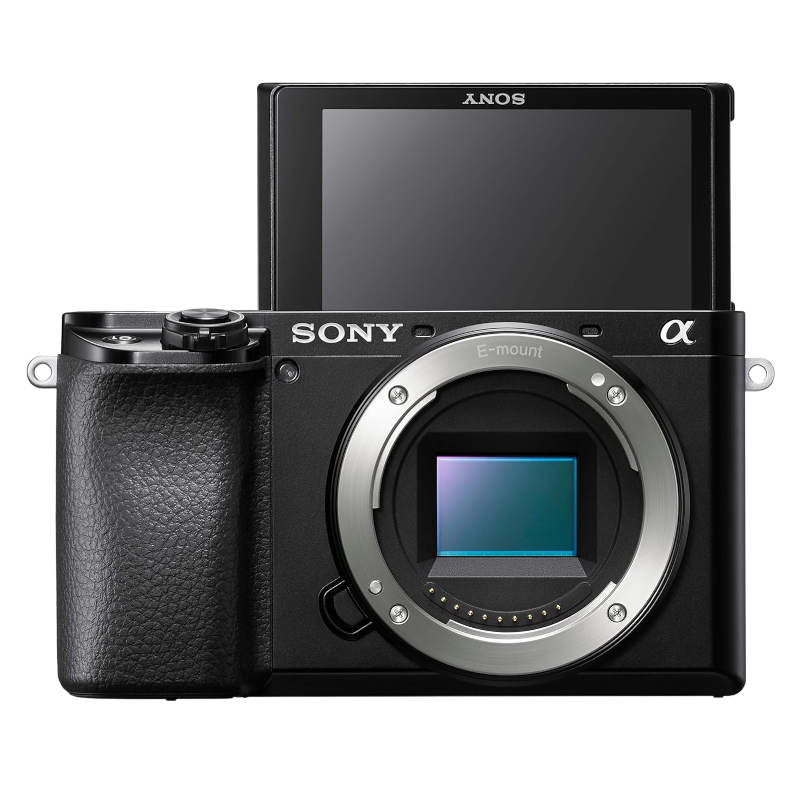 Sony Alpha a6100 + 16-50mm F3.5-5.6 OSS II